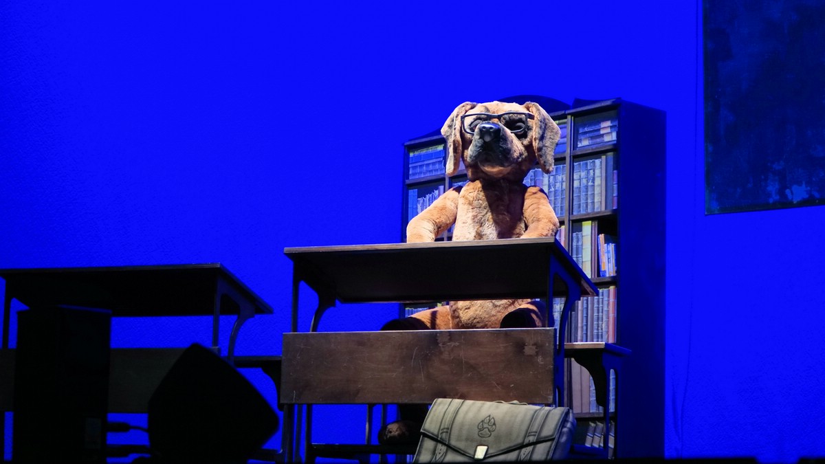 O Fotomagazin / Martin Rtter Show nachSITZen 2015